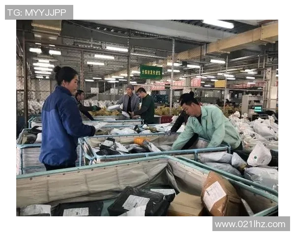 张强畅谈和平精英职业生涯中的挑战与成就分享