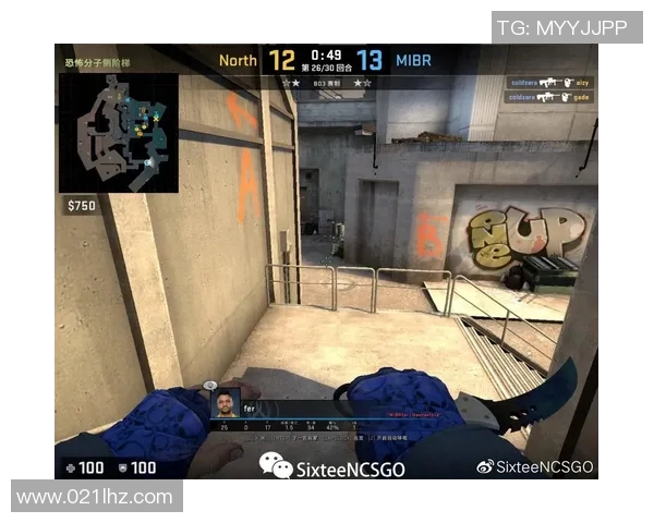 揭秘王军成功之道深入探讨CSGO背后的策略与团队精神实时数据